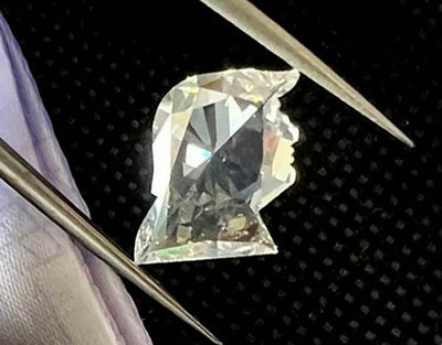 Indian Company Unveils 4.7-Carat Diamond That Looks Like 47th US President