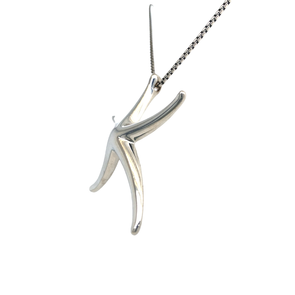 Estate Tiffany & Co. Elsa Perretti Starfish Pendant in Silver