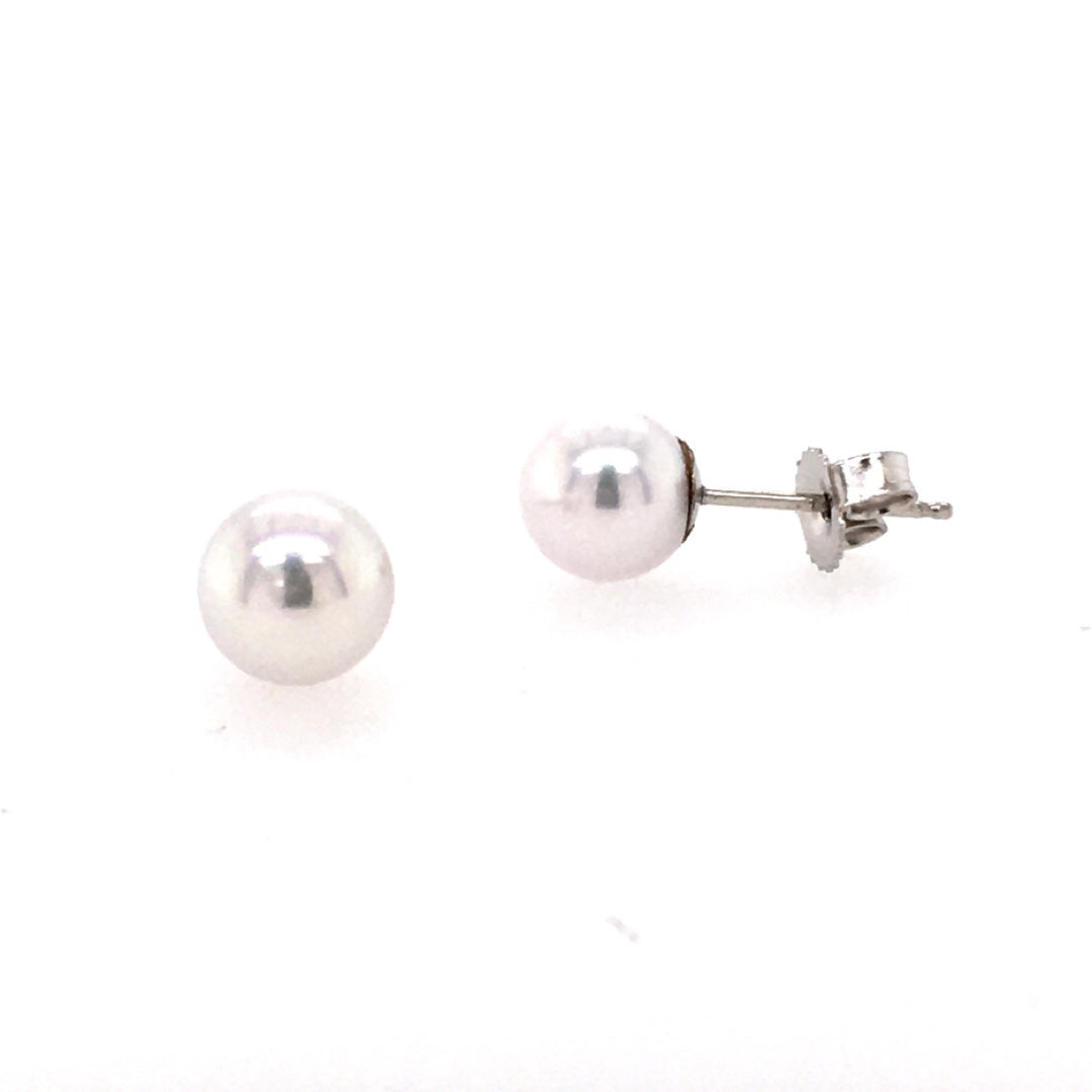 Beeghly & Co. 14 KT White Gold Timeless Pearl Earrings BCE-AS-6.5PW