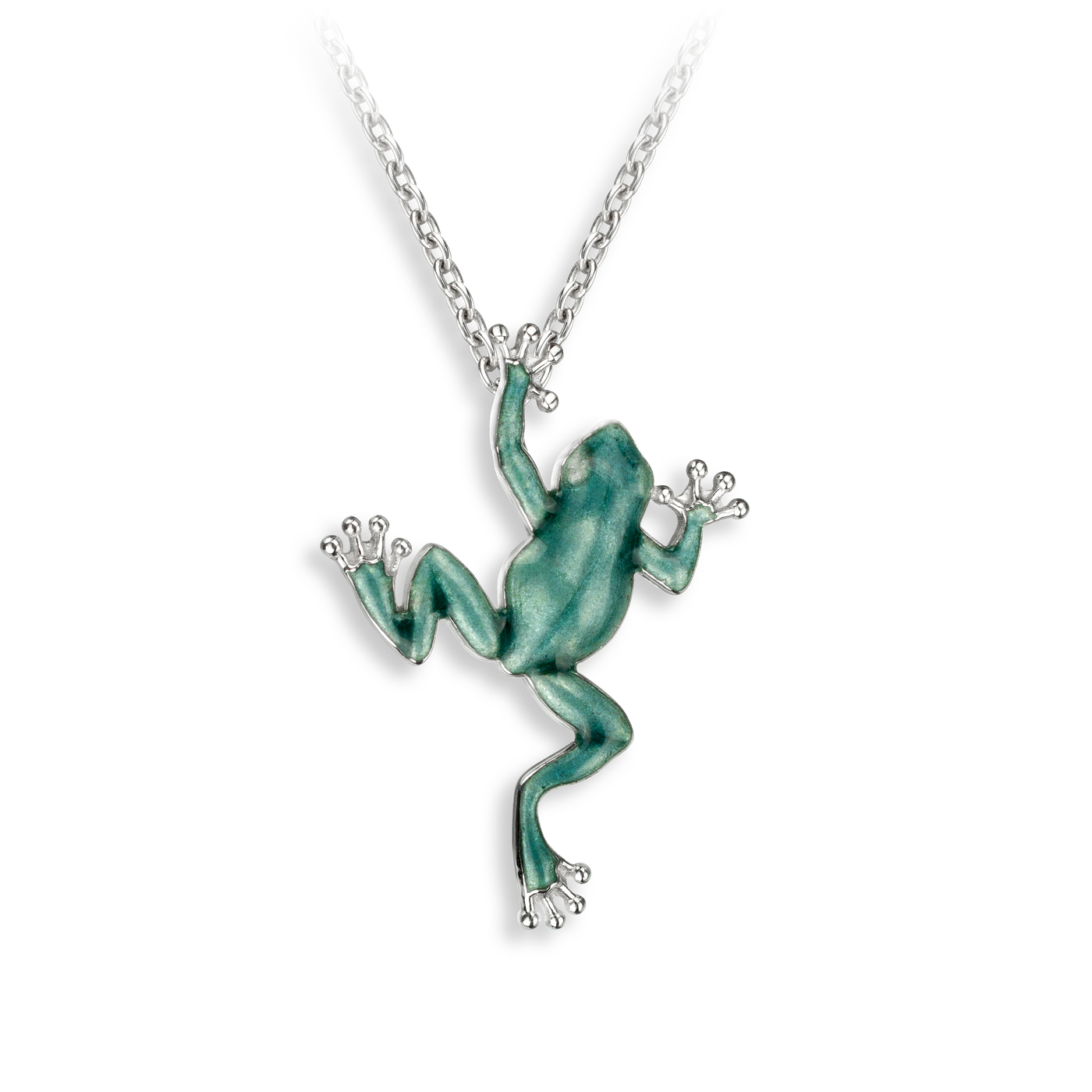 Green Enamel Frog Pendant in Silver by Nicole Barr