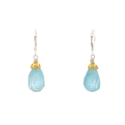 Anatoli Jewelry, Inc. Two-Tone Blue Topaz Drop Earrings UN428CT-B/F